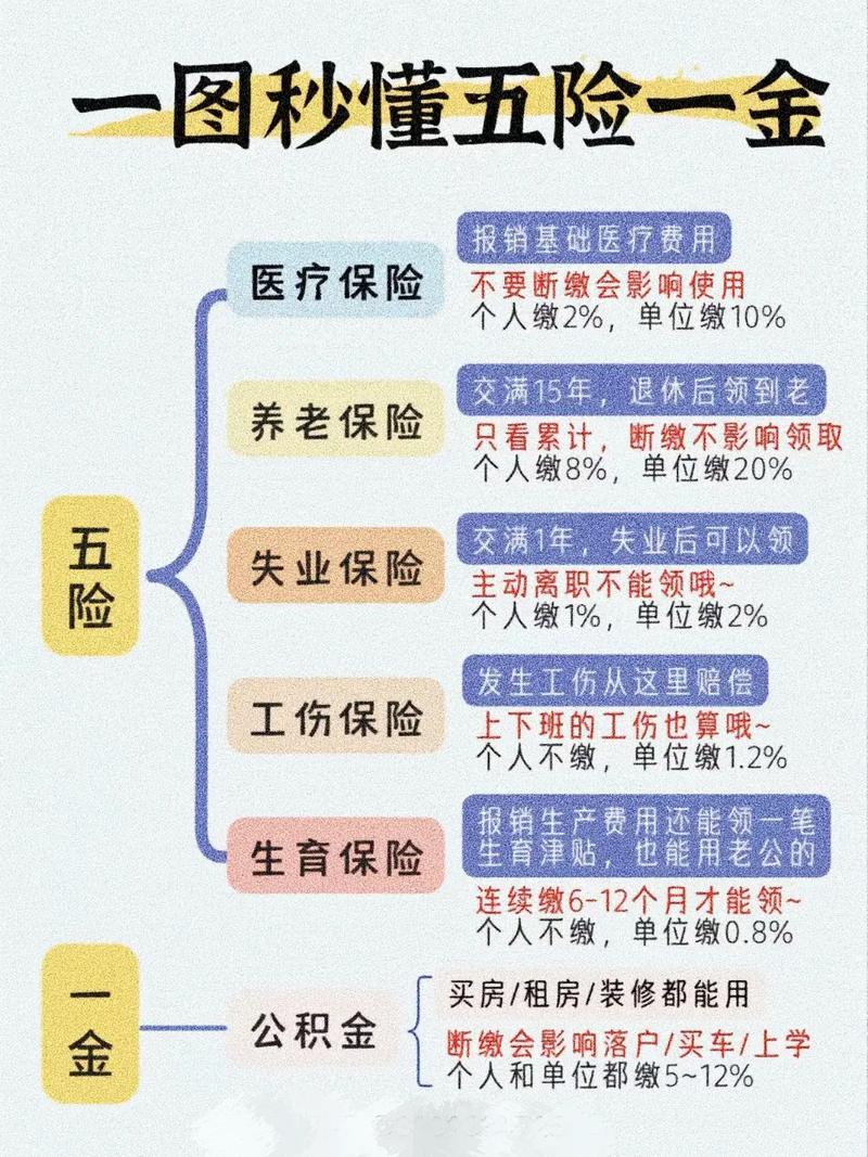 五险最新规定及其对社会的深远影响