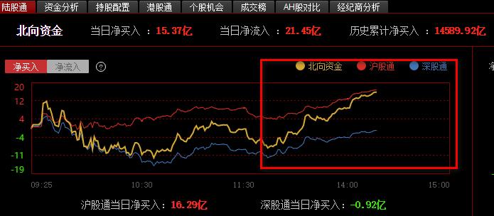 001409最新消息全面解析