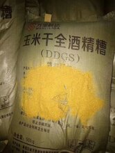 玉米胚芽粕价格动态分析与趋势预测