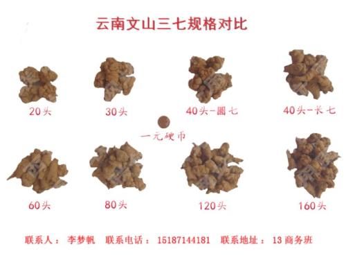 云南三七最新价格走势及分析，市场趋势与影响因素探讨