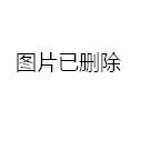 火箭军改革最新动态，迈向现代化军事体系的关键步伐