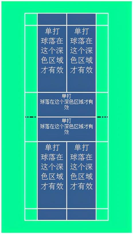 羽毛球赛场上的激情与技术对决