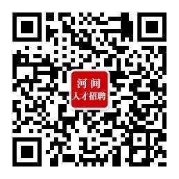 河间市2017年招聘动态概览及未来展望