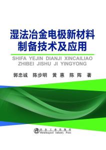 海外湿法冶金领域招聘最新动态深度解析