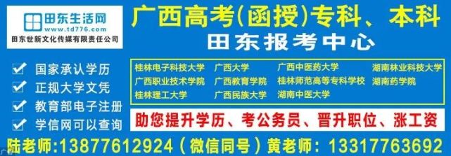 广西田东最新招聘动态及其地区影响分析