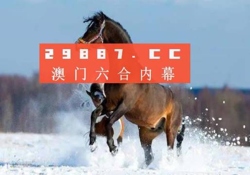 澳门今晚一肖必中特,诠释解析落实_豪华版180.300