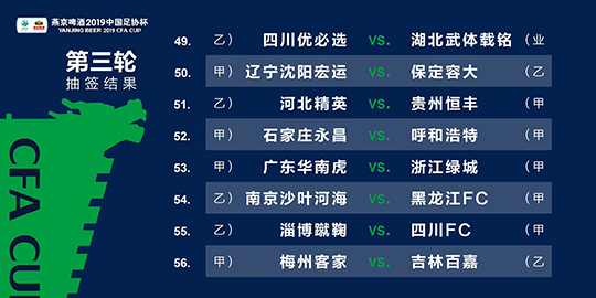 新澳2024年精准一肖一,广泛的解释落实方法分析_特别版2.336