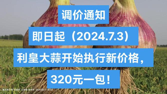 今日大蒜价格动态分析与预测，揭示最新价格趋势