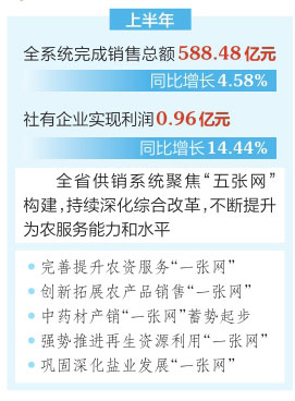 新澳天天开奖资料大全三中三,经济性执行方案剖析_专属款77.96