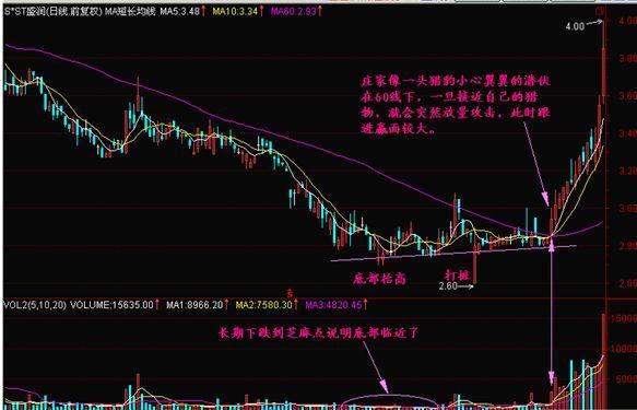 2024今晚澳门开特马四不像,精准解答解释定义_黄金版24.960