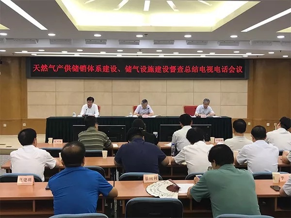 发改委天然气最新动态解析，政策动向与市场趋势深度探讨