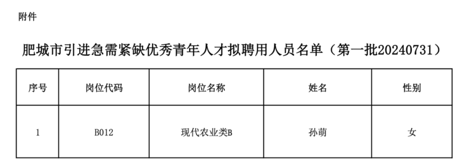 肥城市招聘网最新招聘动态，引领就业市场的新趋势及其影响