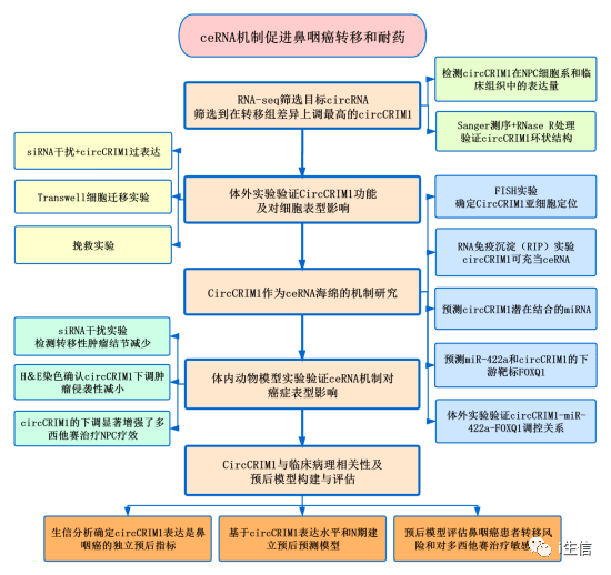 新奥正版全年免费资料,结构化推进评估_HDR71.842