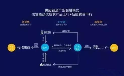 新澳正版资料与内部资料,数据支持策略解析_10DM87.118