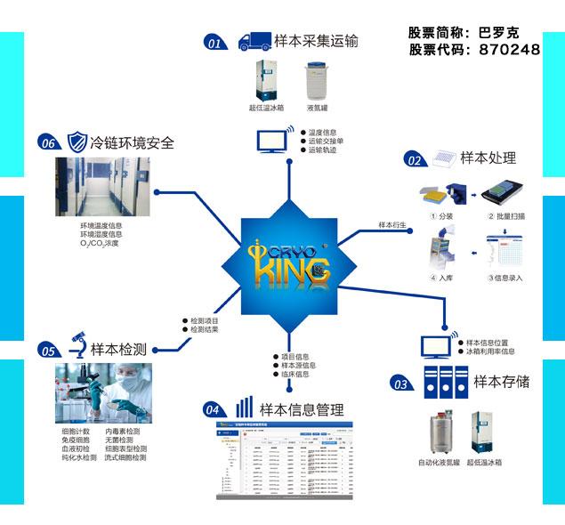 新澳精准资料免费提供510期,高效策略设计_社交版84.252