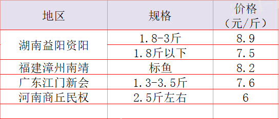 生鱼市场最新行情解析