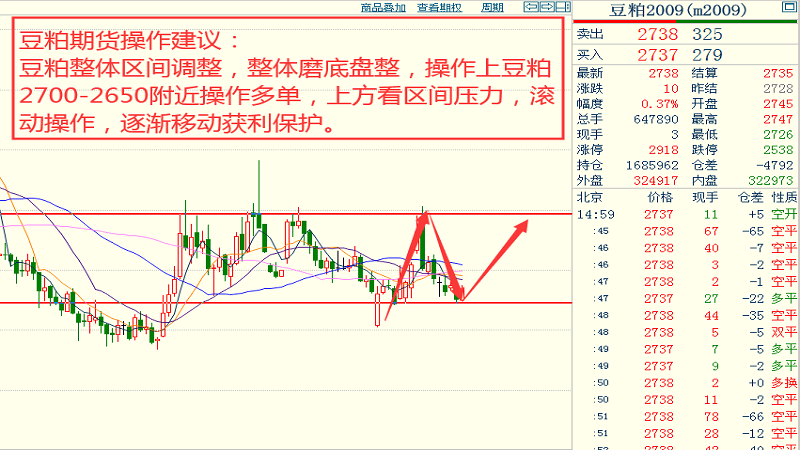 澳门王中王100%期期中一期,数据引导执行计划_高级版85.923