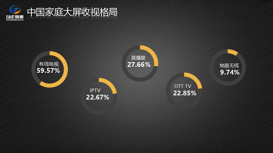 管家婆一句话赢大钱,数据分析驱动解析_WP版33.252