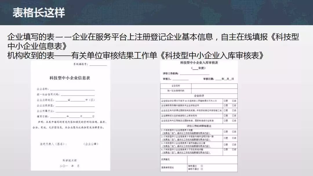 一码一肖100%精准的评论,经典解释落实_T26.660