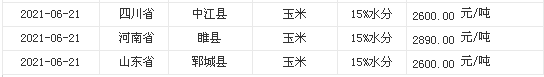 泰版一吻定情2最新动态，期待重逢的时刻