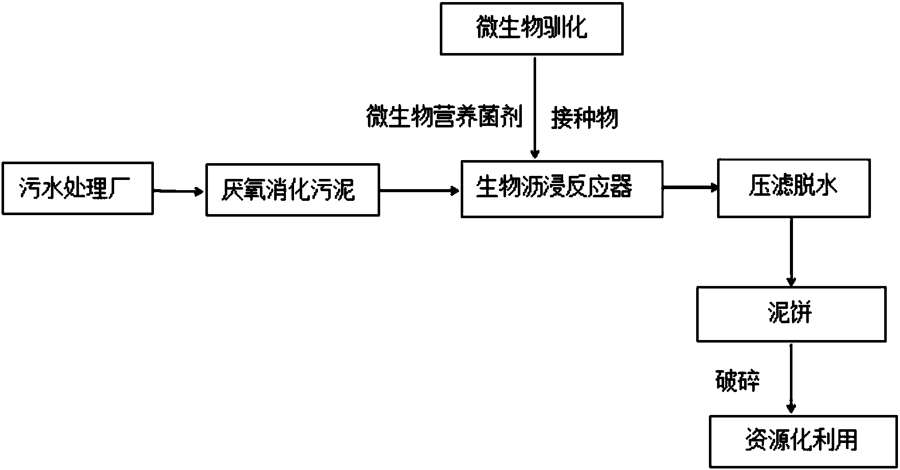 厌氧微生物学最新书籍研究与探索概览