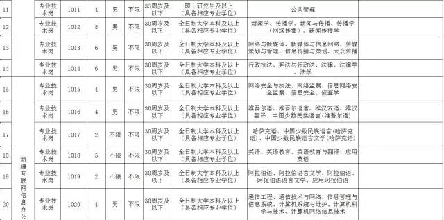 新疆最新招聘信息查询，探索职业发展新天地