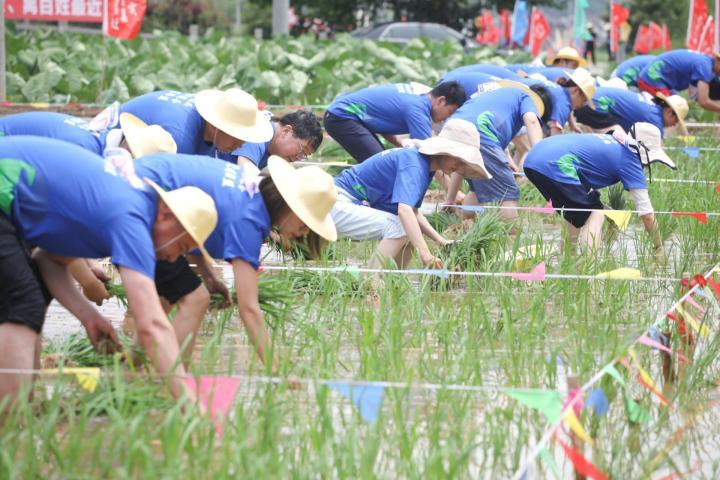 凤川街道新任领导团队引领未来新篇章