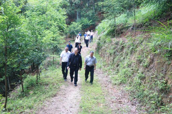 红岭林场新任领导团队引领未来林业发展之路