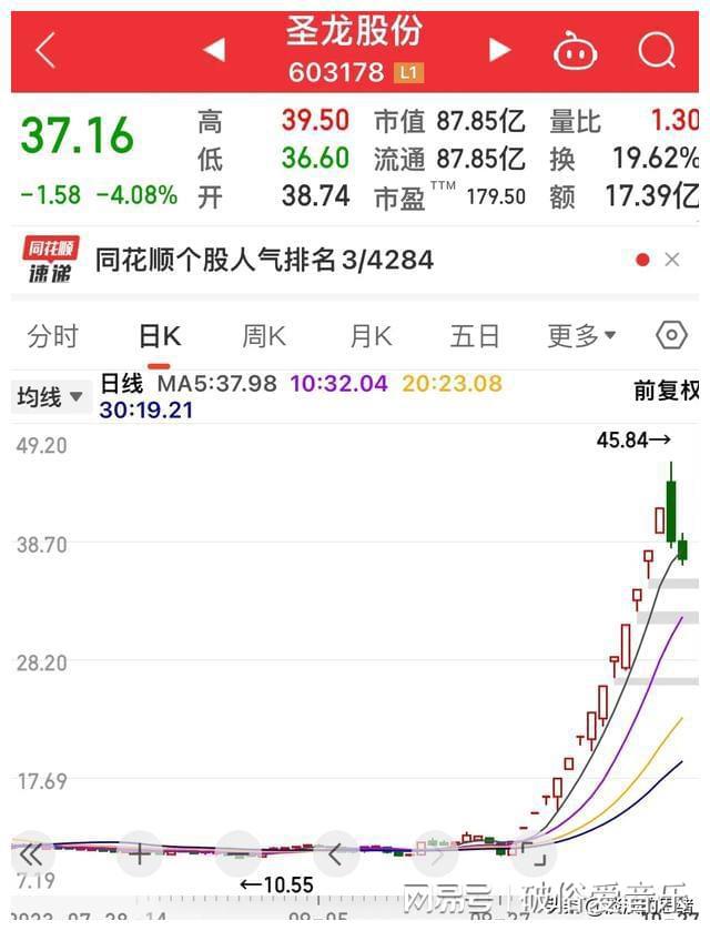 圣龙股份最新动态全面解读