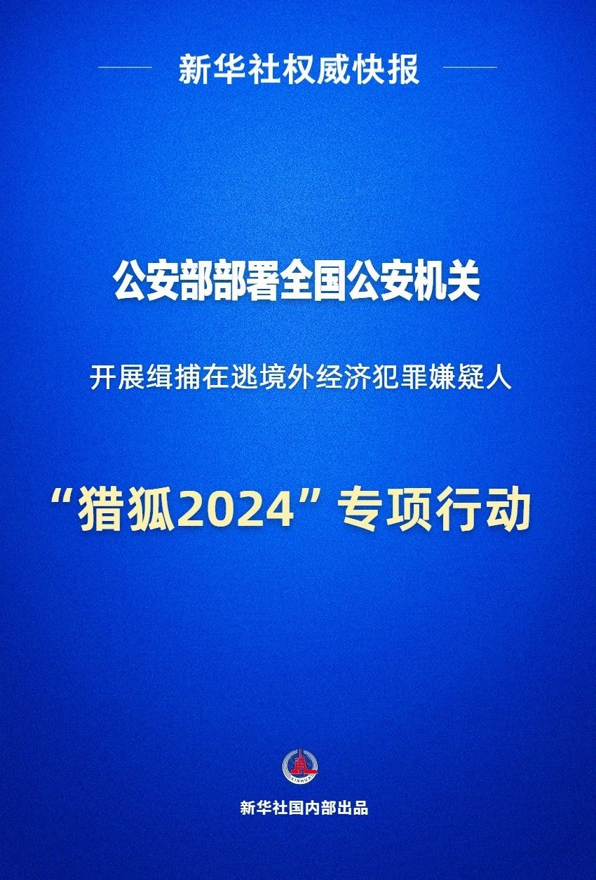 全球安全态势的最新演变与挑战，最新安全新闻综述