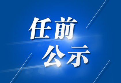 岘塬村委会新领导团队引领下的气象新篇