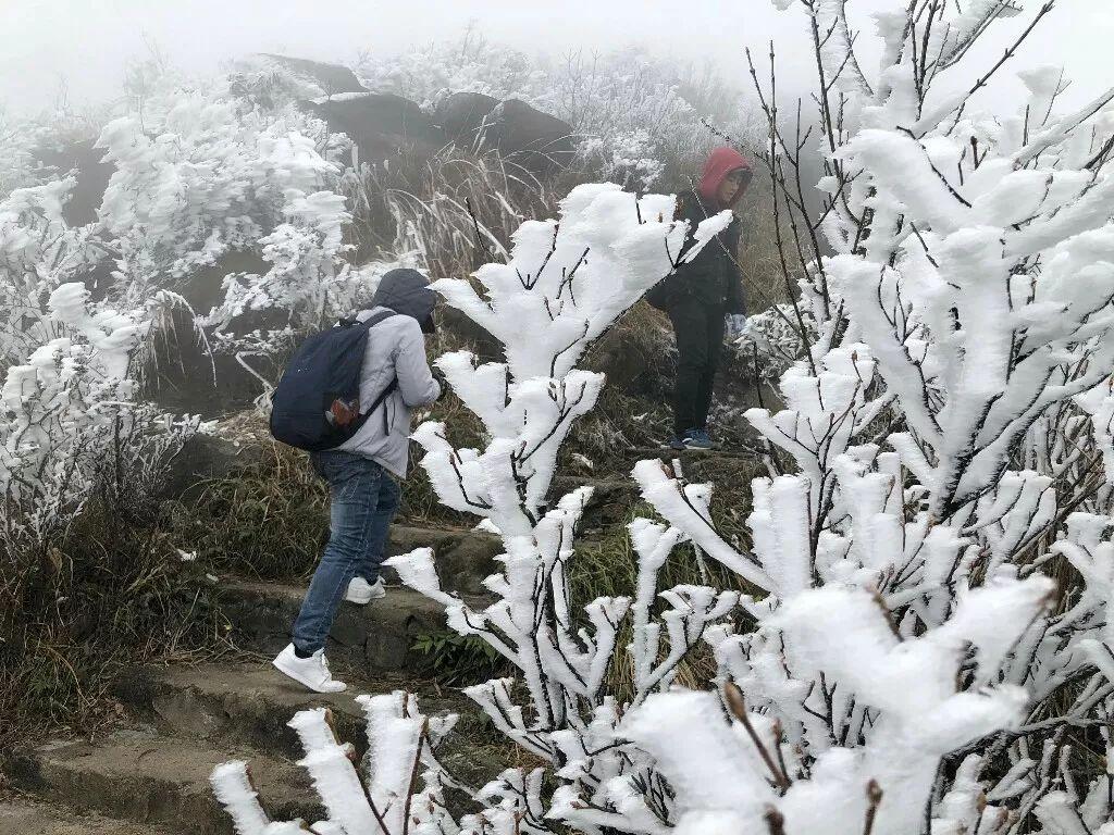 马半山村委会天气预报更新通知