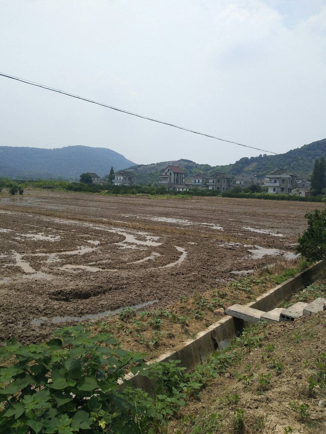 黄湾乡天气预报更新通知