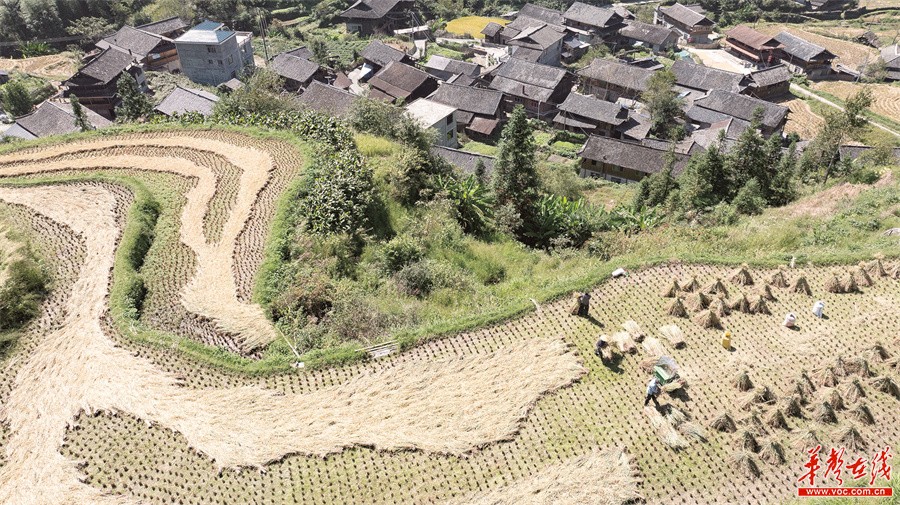 里孜村今日及未来天气预报