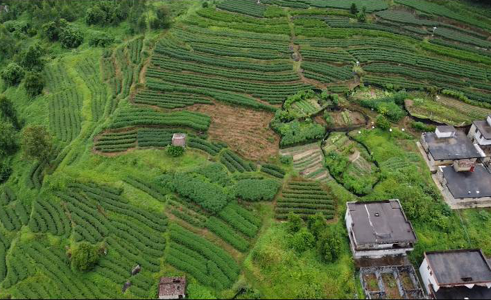 古坪沟村委会天气预报更新通知