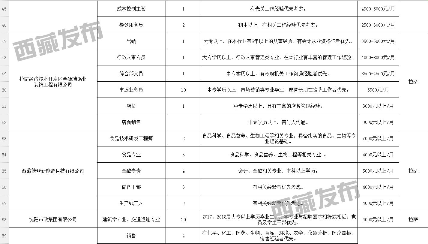 波密县数据和政务服务局招聘公告详解