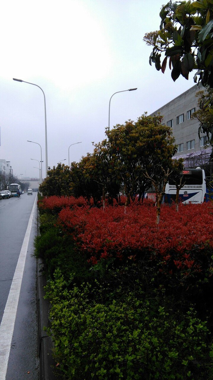 宗汉街道天气预报更新通知