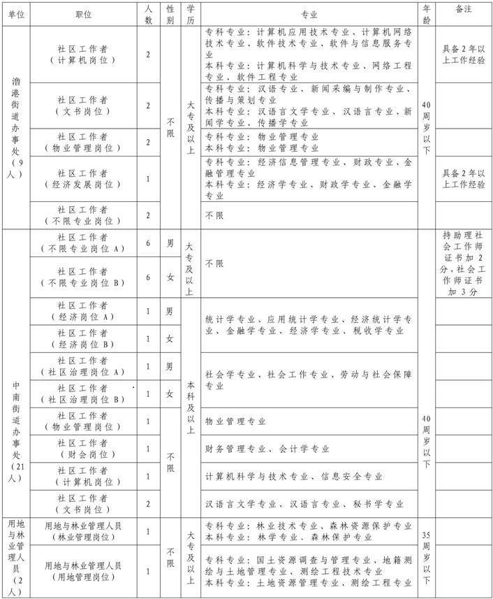 弋江区小学全新招聘启事概览