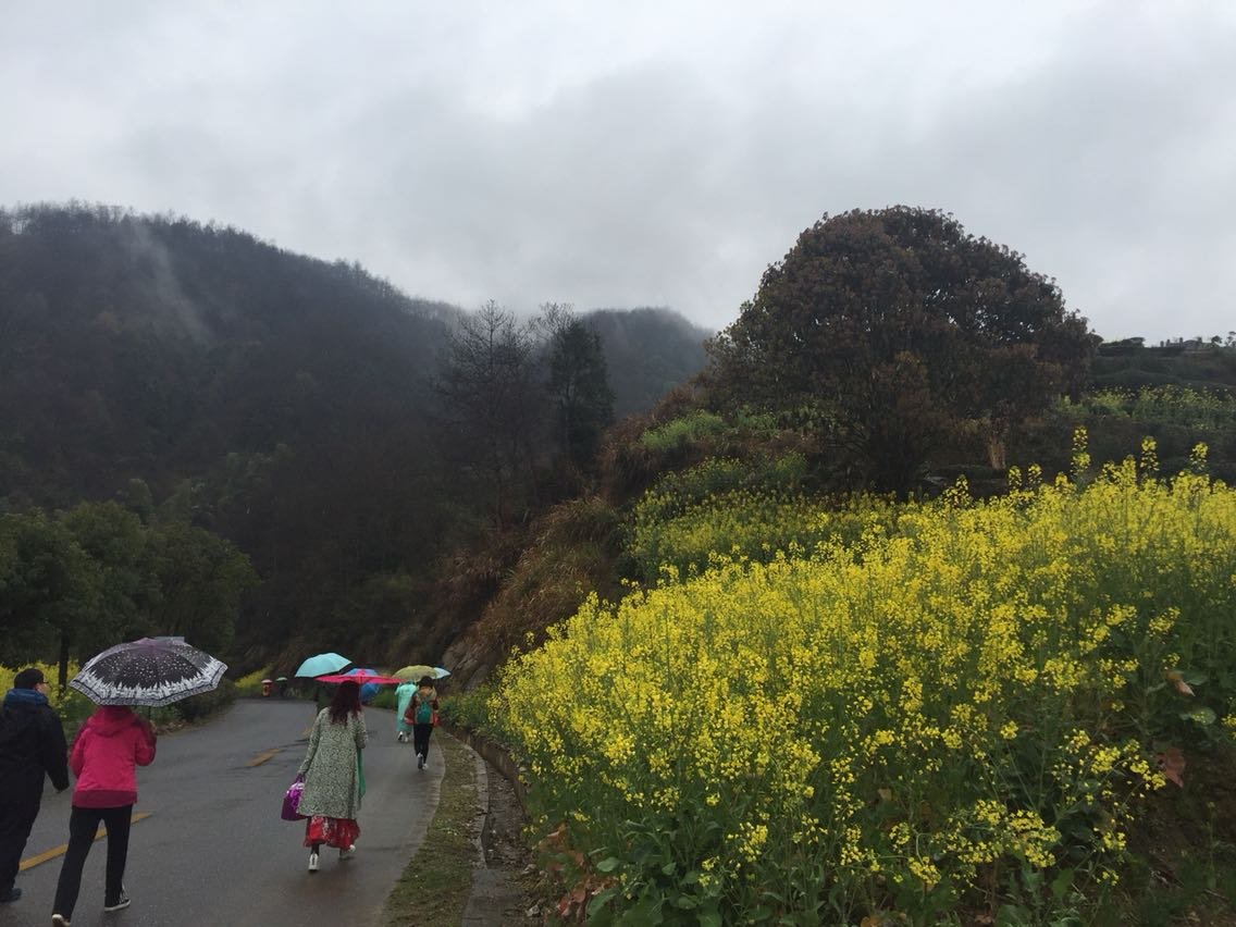 朝天村天气预报更新通知