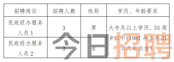 房山区数据和政务服务局最新招聘信息全面解析