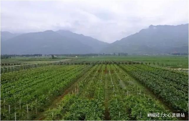 天宝林场最新天气预报概览