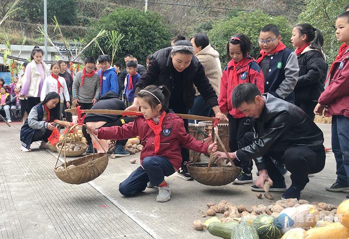 缙云县小学最新动态报道