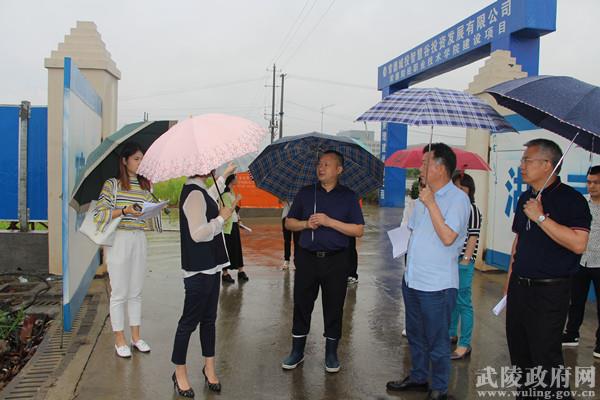 鹤峰县统计局新项目探索与发展之道