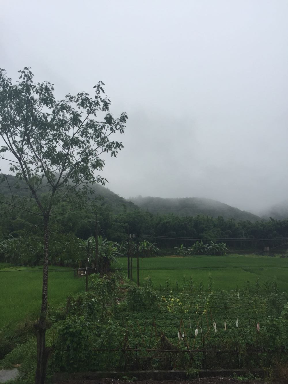 雷大乡天气预报更新通知