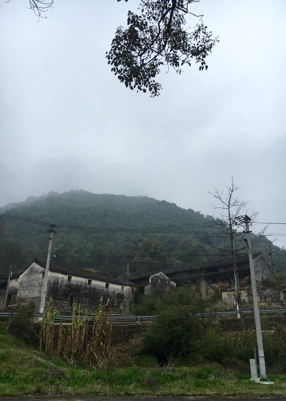 石心村天气预报更新通知