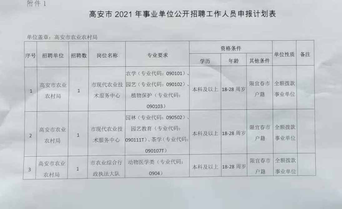 高安市民政局最新招聘启事概览