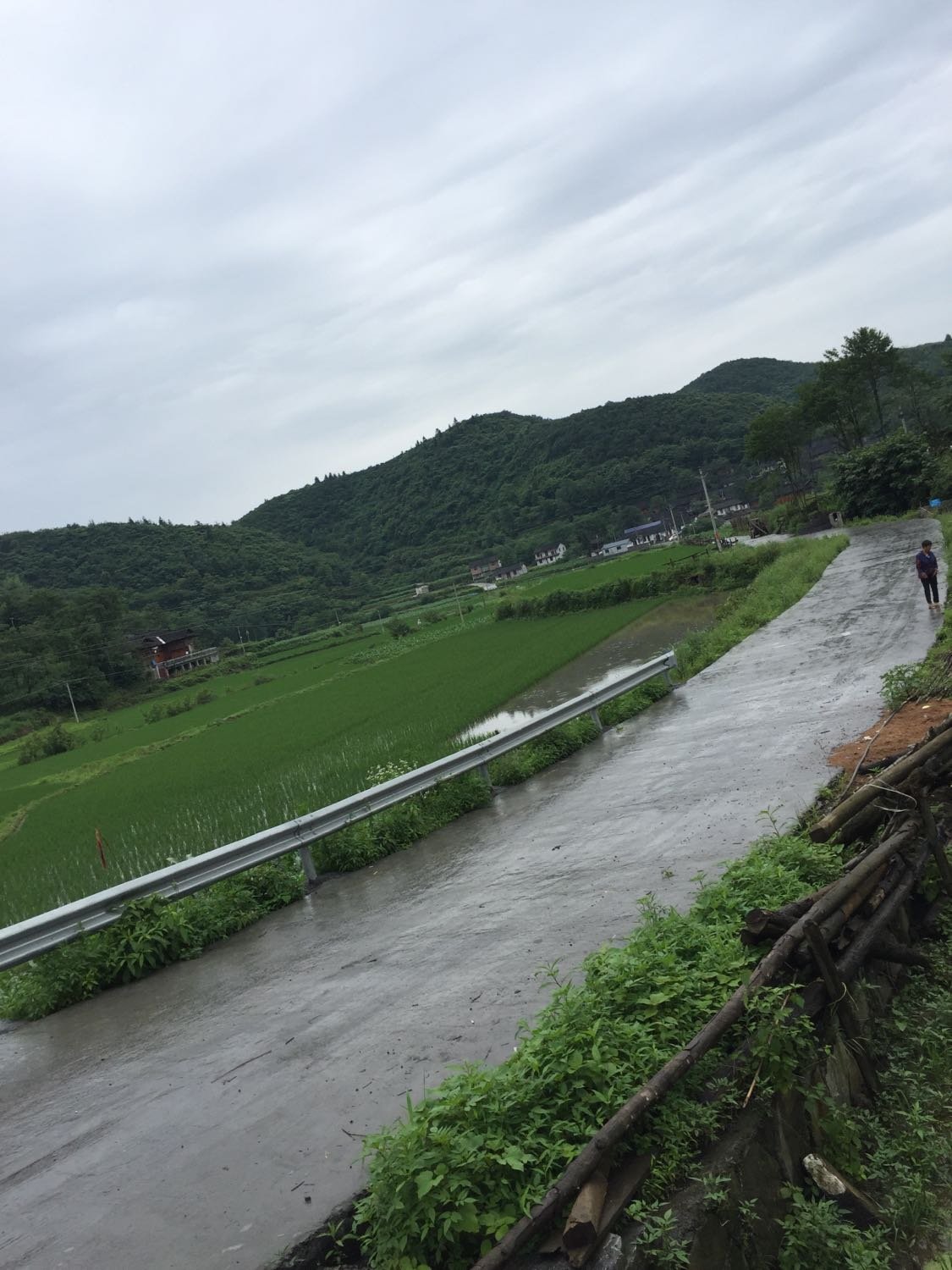 秋水坪村委会天气预报，最新气象信息及影响分析