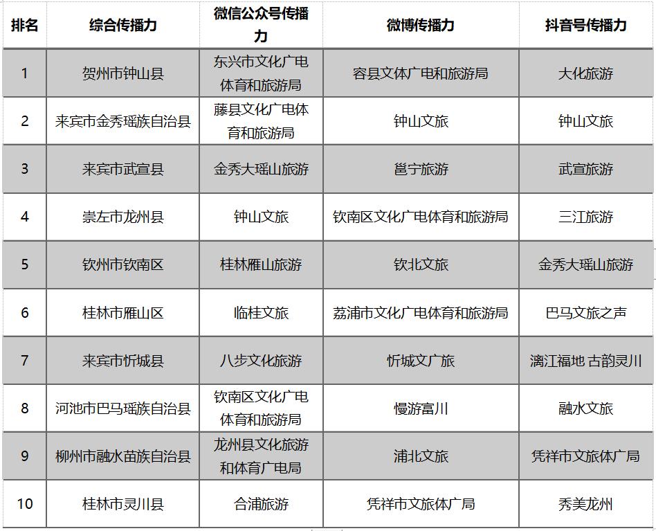 巴马瑶族自治县数据和政务服务局最新领导团队概述