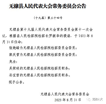 无棣县审计局人事任命，开启审计事业新篇章