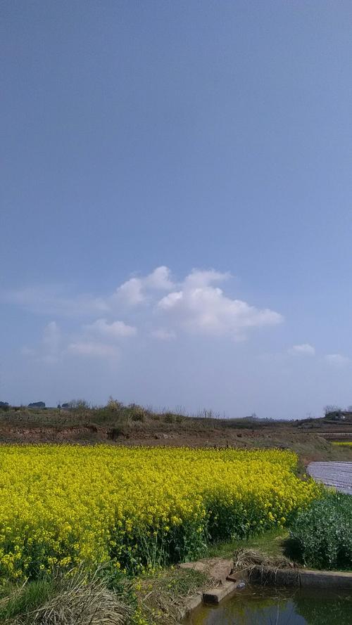 连湖镇天气预报更新通知